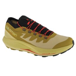 Salomon Buty Salomon Pulsar Trail-Pro M 415936