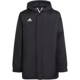 Adidas Kurtka adidas Entrada 22 Stadium M IB6076