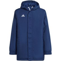 Kurtka adidas Entrada 22 Stadium Jr IB6079