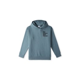 Bluza O'Neill Future Surf Society Hoodie Jr 92800614974