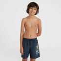 Szorty kąpielowe O'Neill Circle Surfer 14" Swim Shorts Jr 92800613201