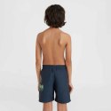 Szorty kąpielowe O'Neill Circle Surfer 14" Swim Shorts Jr 92800613201