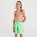 Szorty kąpielowe O'Neill Circle Surfer 14" Swim Shorts Jr 92800613206