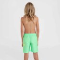 Szorty kąpielowe O'Neill Circle Surfer 14" Swim Shorts Jr 92800613206