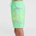 Szorty kąpielowe O'Neill Circle Surfer 14" Swim Shorts Jr 92800613206