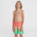 Szorty kąpielowe O'Neill Jack Cali Gradient 14'' Swim Shorts Jr 92800613570