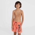 Szorty kąpielowe O'Neill Mix& Match Cali Floral 13'' Swim Shorts Jr 92800613859