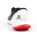 Salomon Buty Salomon Sense Flow M 409672 GTX