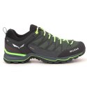 Salewa Buty Salewa Ms Mtn Trainer Lite GTX M 61361-5945