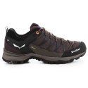 Salewa Buty trekkingowe Salewa Mtn Trainer Lite GTX M 61361-7512