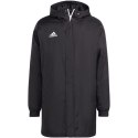 Adidas Kurtka adidas Entrada 22 Stadium M IB6076