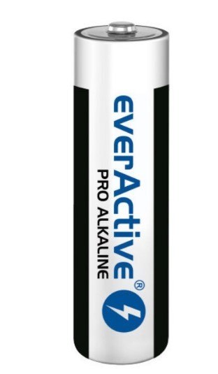 Baltrade Spółka z Ograniczoną Odpowiedzialnością Bateria everActive Pro Alkaline LR03 AAA 10 szt.