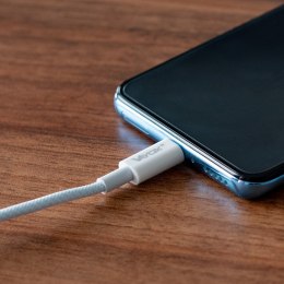 Bodex Electronics Spółka z o.o. Kabel USB-C dwie końcówki USB-C 65W 3A 1m premium