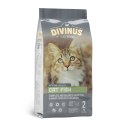 Divinus Divinus Cat Fish dla kotów dorosłych 2kg