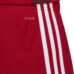 Adidas Spodenki adidas Tastigo 19 Shorts M DP3681