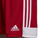 Adidas Spodenki adidas Tastigo 19 Shorts M DP3681