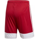 Adidas Spodenki adidas Tastigo 19 Shorts M DP3681