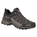 Salewa Buty trekkingowe Salewa Mtn Trainer Lite GTX W 61362-7517