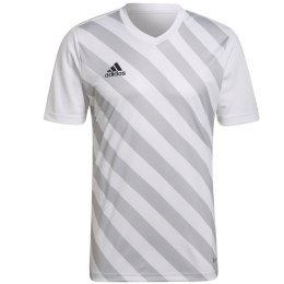 Adidas Koszulka adidas Entrada 22 Graphic Jersey M HF0129