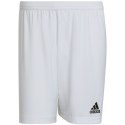 Adidas Spodenki adidas Entrada 22 M HG6295